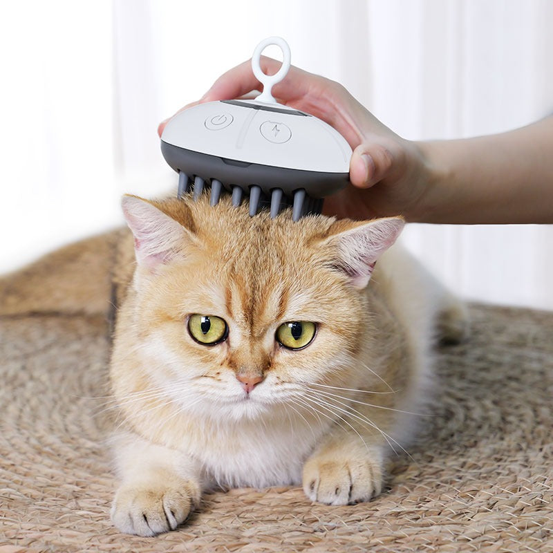 PC01 |3 in 1 Electric Anti-splashing Cat Brush With Steam Spray for Massage Pet Grooming Comb Hair Removal