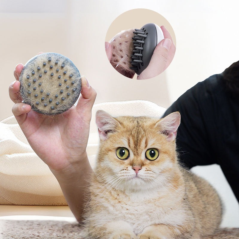 PC01 |3 in 1 Electric Anti-splashing Cat Brush With Steam Spray for Massage Pet Grooming Comb Hair Removal